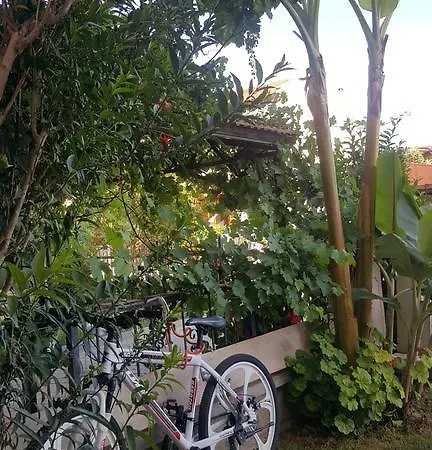 Lejlighedshotel Burak Apart *